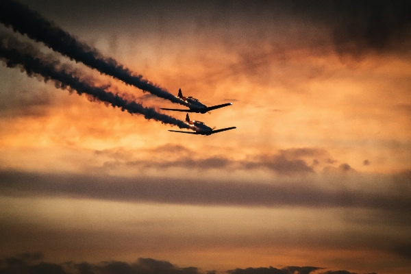 Wing cloud sky sunrise Photo