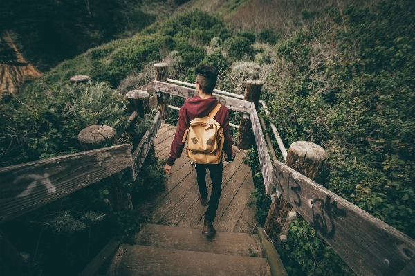 Man forest bridge stair Photo