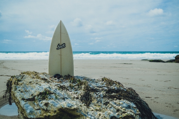 Beach sea coast water Photo