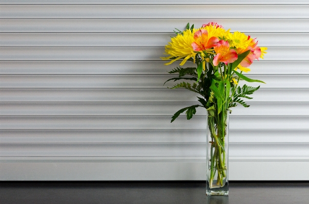 Plant flower floral vase Photo