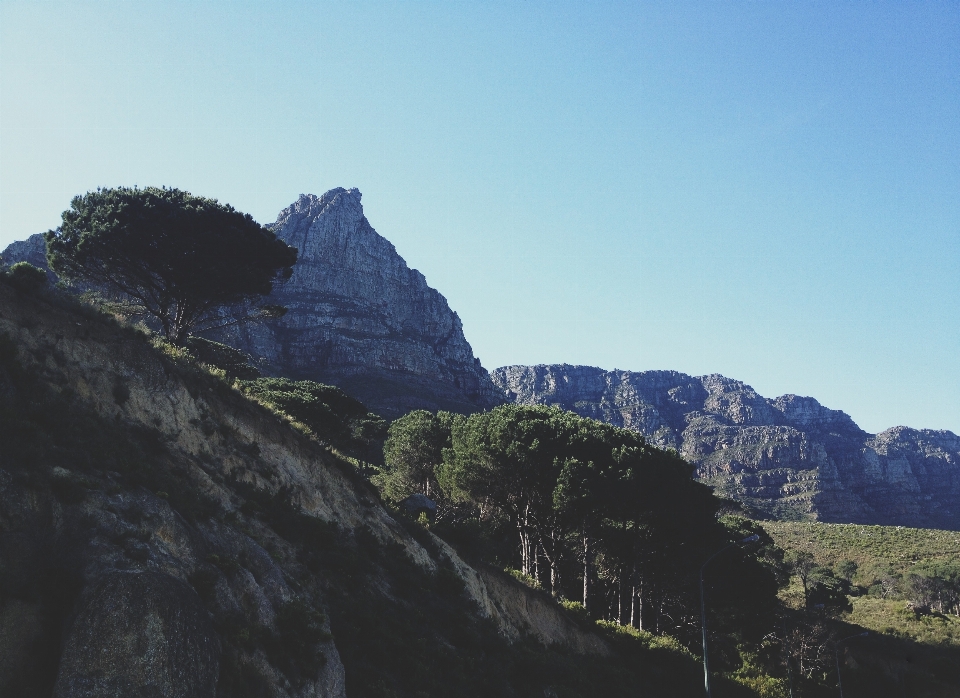 Paisagem árvore natureza rock