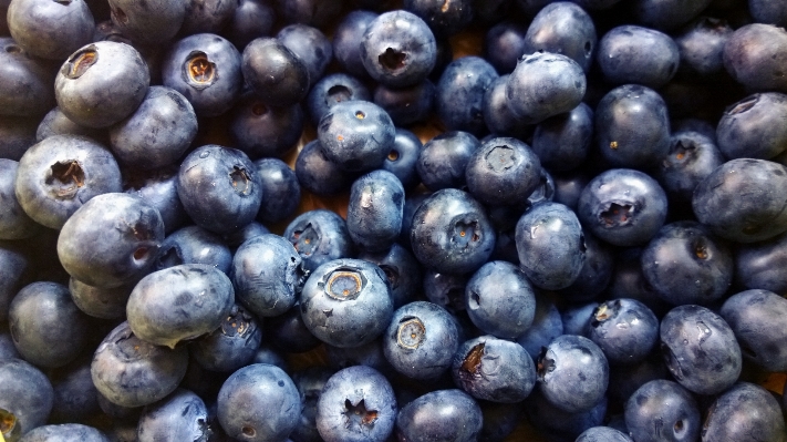 Anlage frucht beere essen Foto