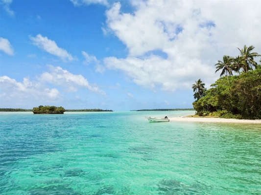 Beach sea coast ocean Photo