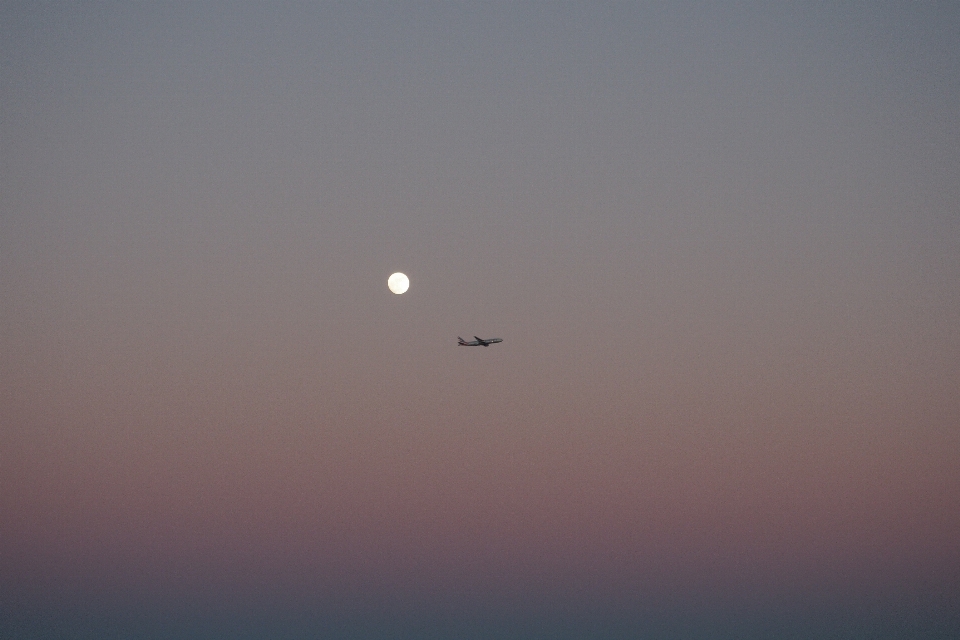 地平线 翅膀 天空 太阳