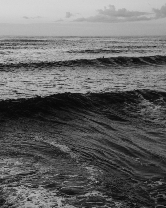 Beach sea coast sand