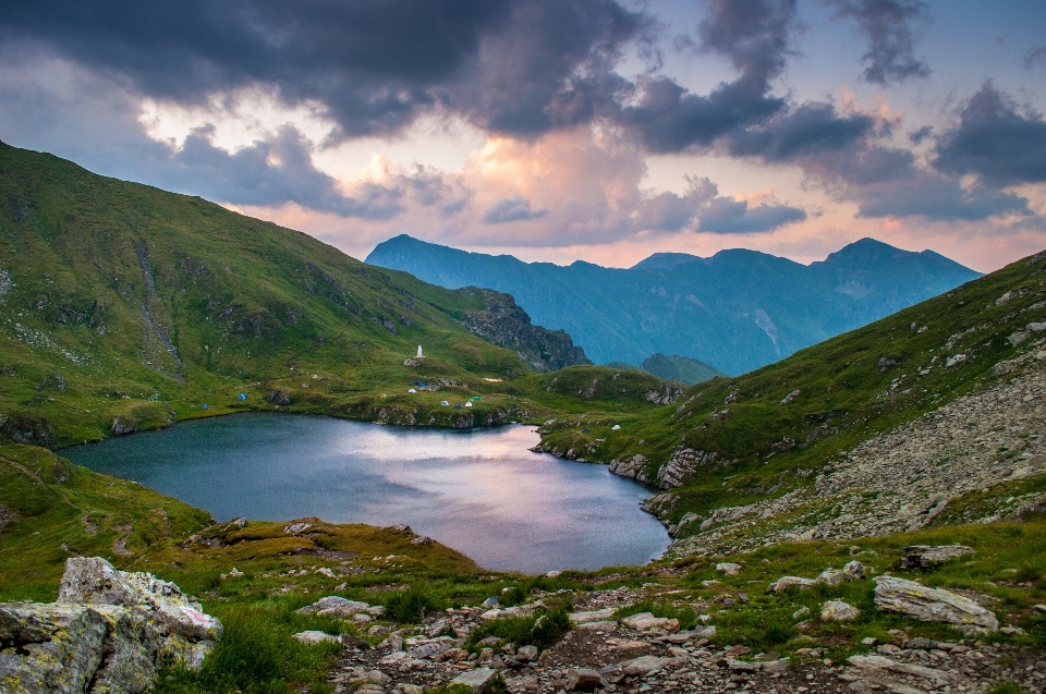 пейзаж дерево природа rock