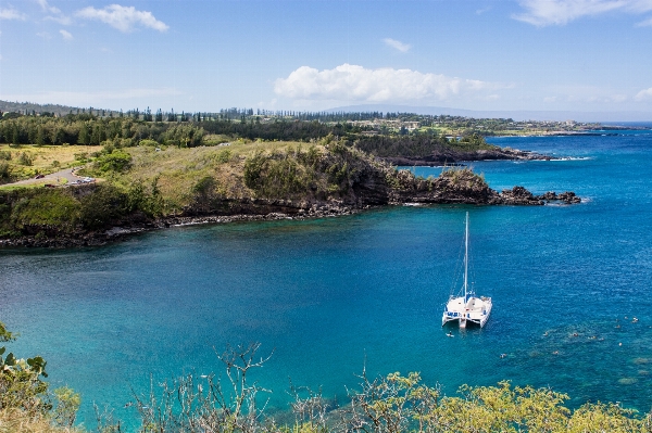 ビーチ 海 海岸 水 写真