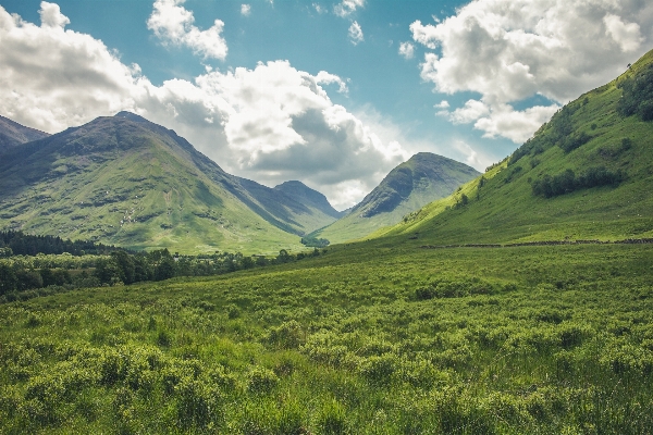 Landscape nature grass wilderness Photo