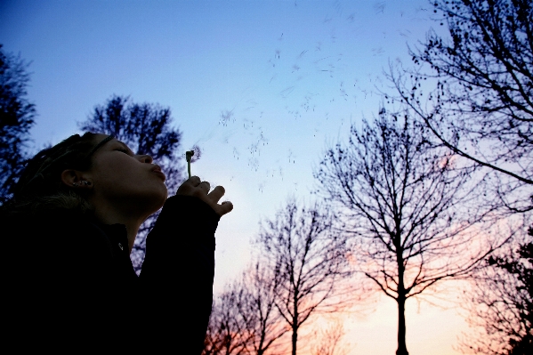 Tree branch silhouette person Photo