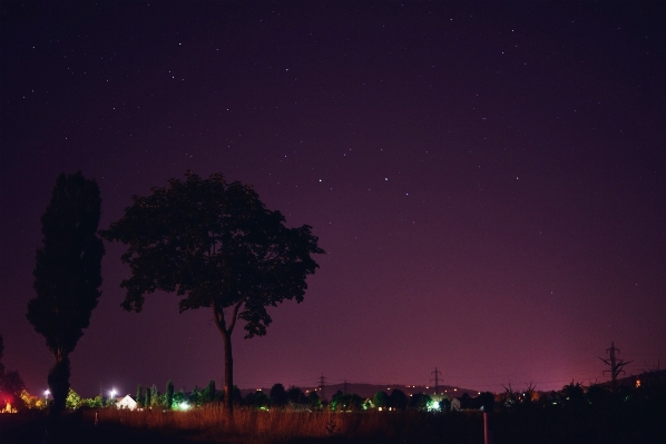 Sky night star atmosphere Photo