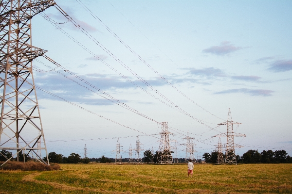 Man field wind wire Photo