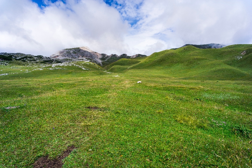 Paisaje césped desierto
 montaña