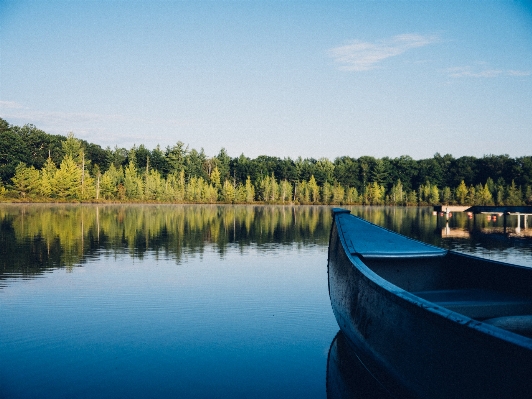 Landscape water nature forest Photo