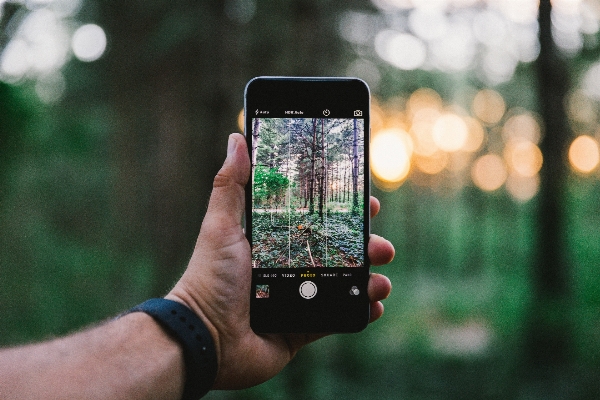 Iphone smartphone 手 树 照片