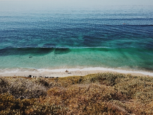 ビーチ 海 海岸 水 写真