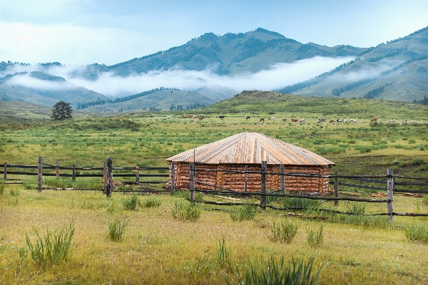 Landscape wilderness mountain field Photo