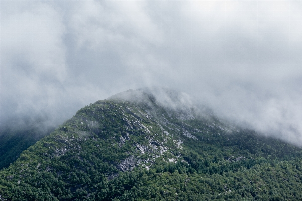 Landscape nature forest wilderness Photo