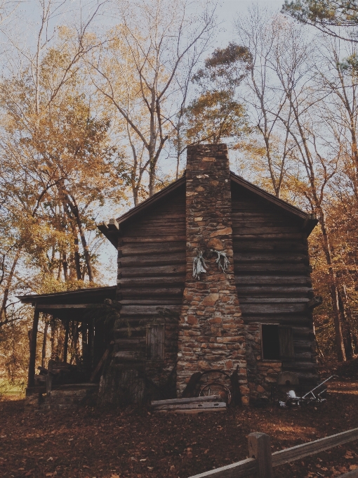 Bois loger bâtiment cabine