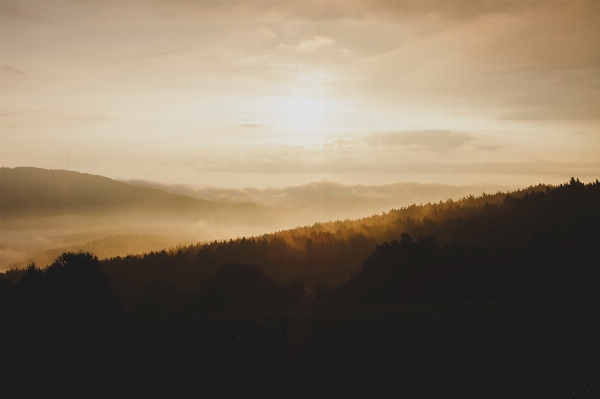 Forest horizon mountain cloud Photo