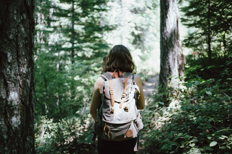 Pohon hutan gadis wanita