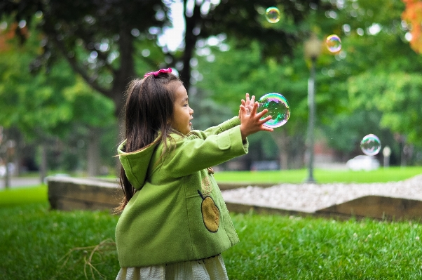 Grass lawn play flower Photo