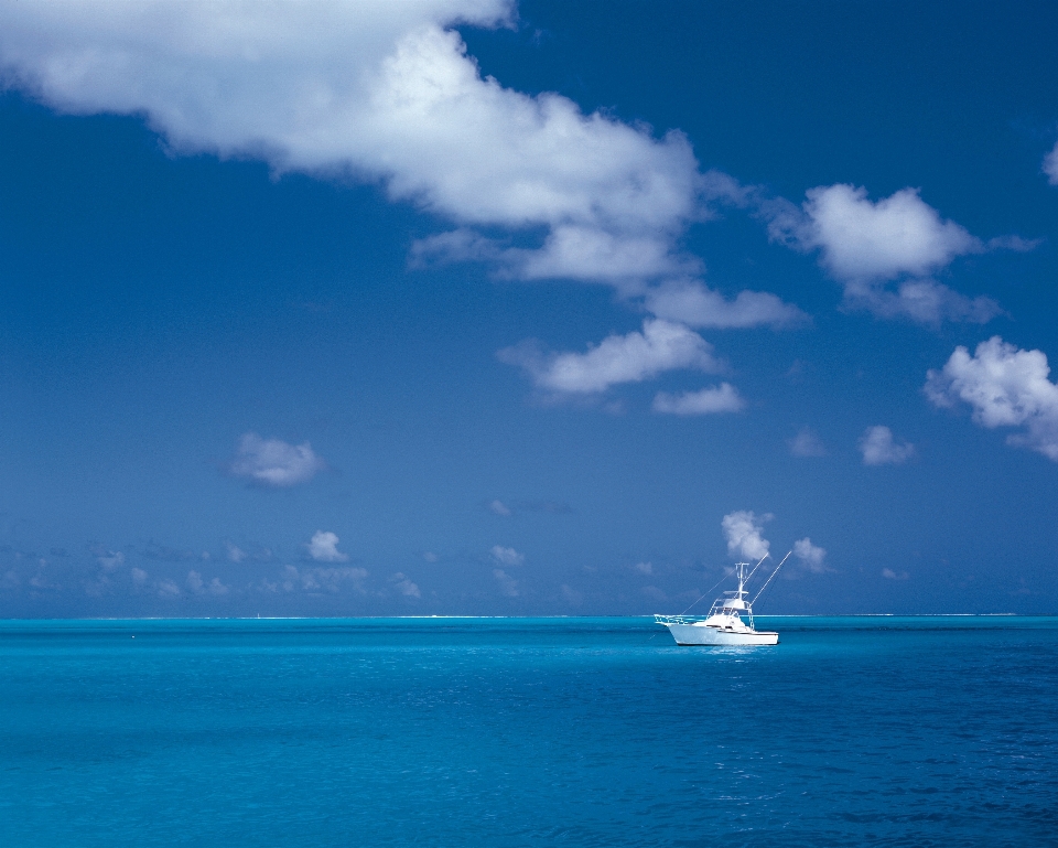 海滩 海 海岸 水