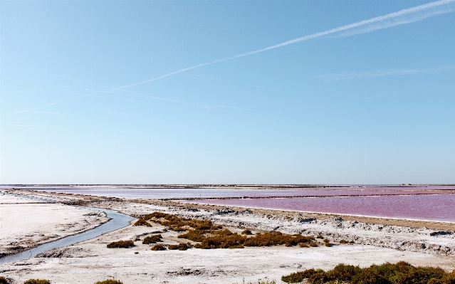 Beach sea coast water Photo