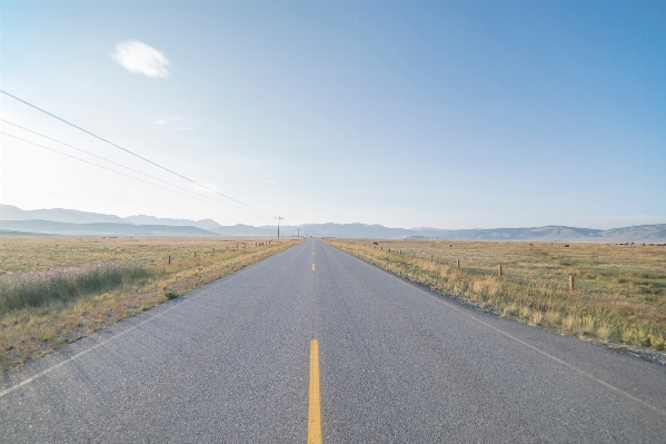 Grass horizon track road Photo