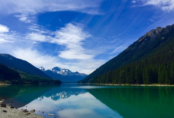 Landscape tree water nature Photo