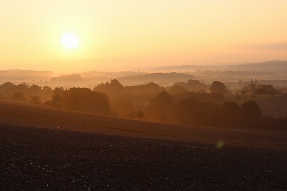 Landschaft meer baum horizont