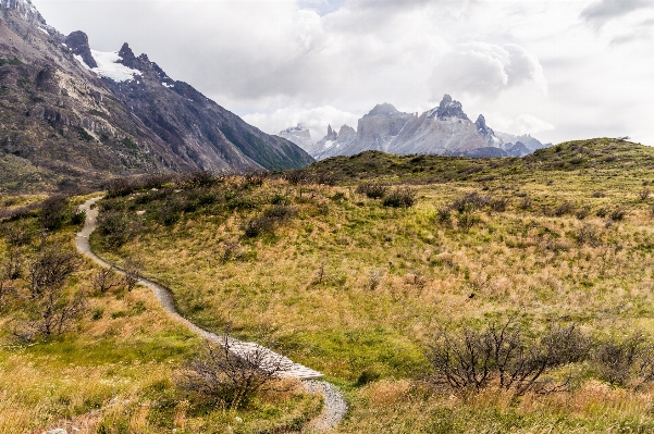 Landscape path pathway wilderness Photo