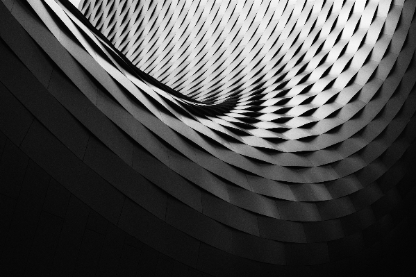 Wing light abstract black and white Photo