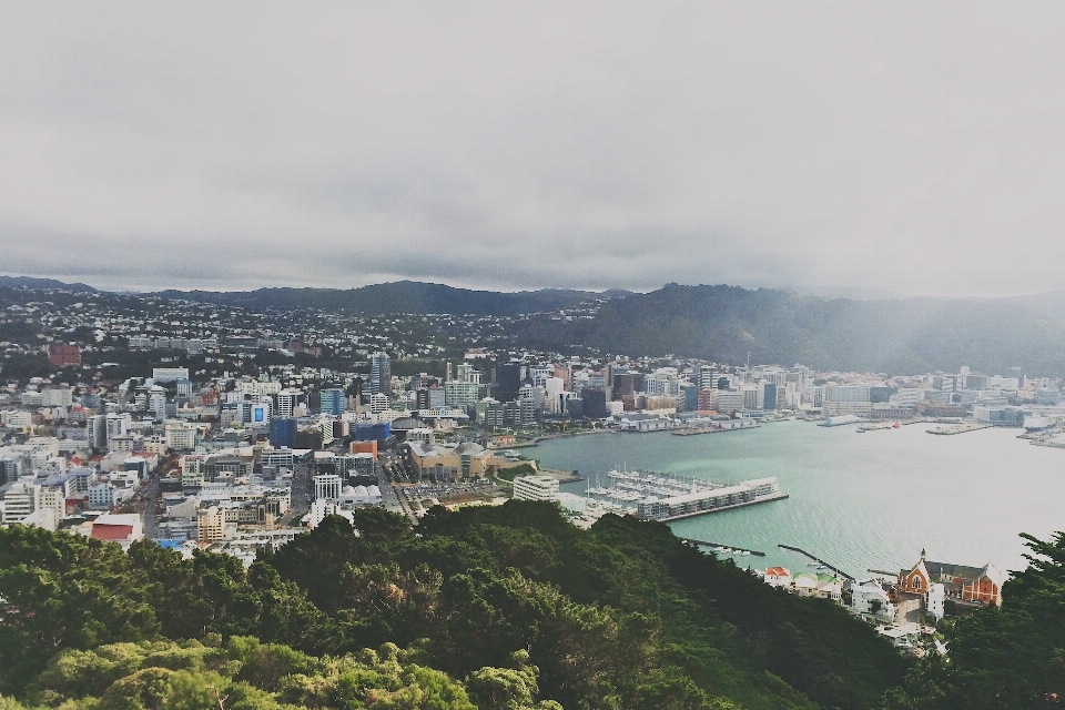 海 海岸 木 山