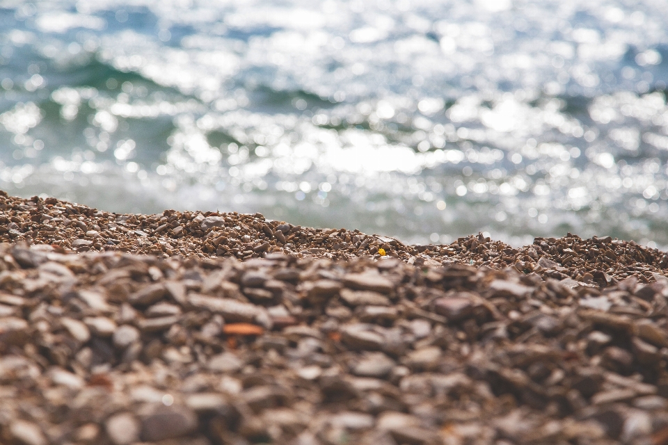 Beach sea water nature