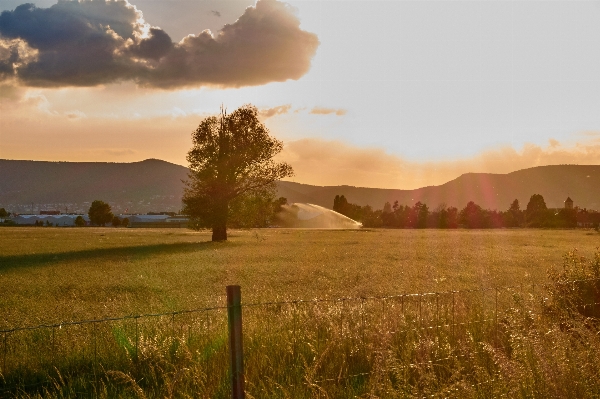 Landscape nature grass horizon Photo