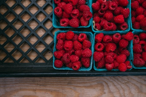 Plant raspberry fruit berry Photo