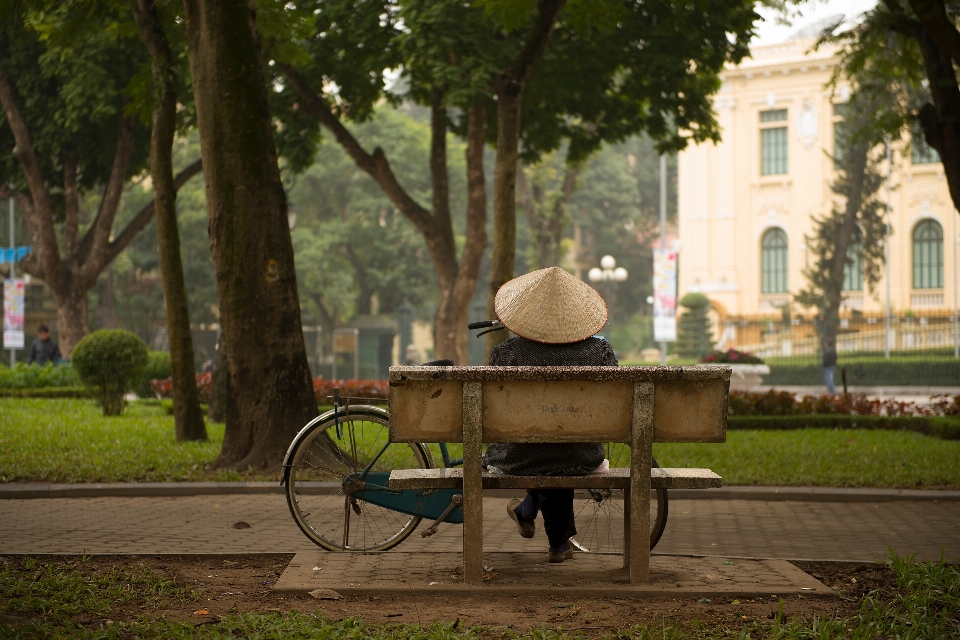 Arbre banc chariot fleur