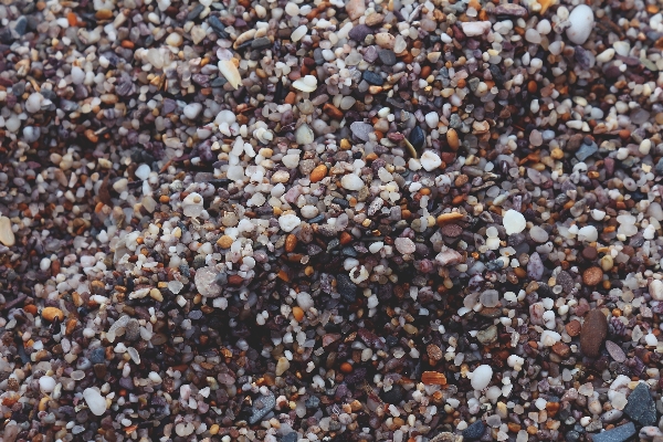 Beach rock stone asphalt Photo