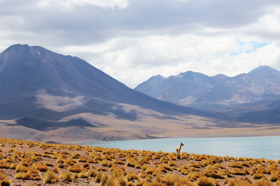 Paisaje agua desierto
 montaña