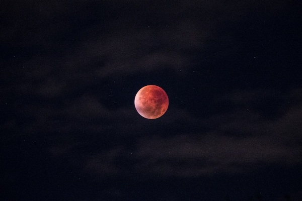 Sky night atmosphere darkness Photo