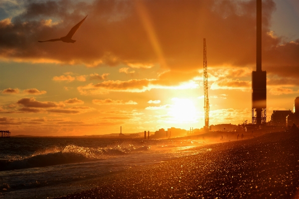 Beach sea coast water Photo