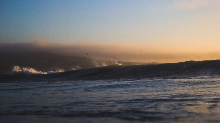 Beach sea coast water Photo