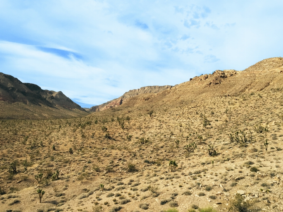 Lanskap rock gurun
 gunung