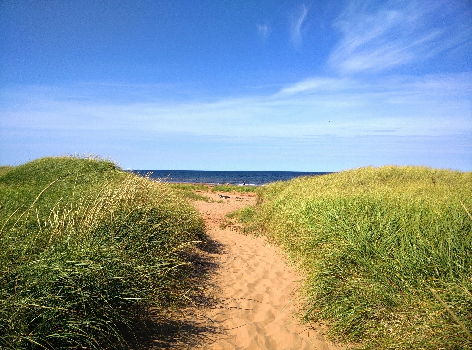 Beach landscape sea coast