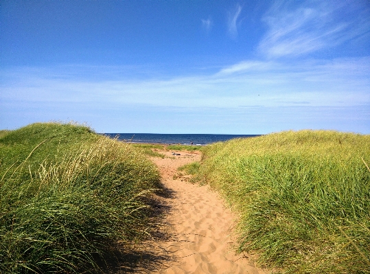 Beach landscape sea coast Photo