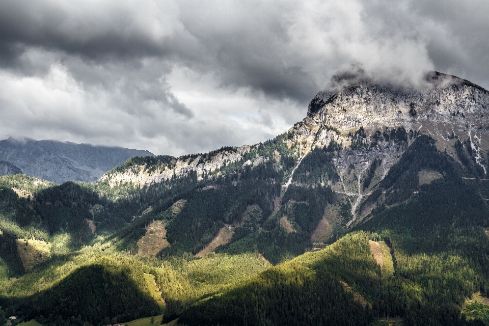 Landscape nature forest wilderness