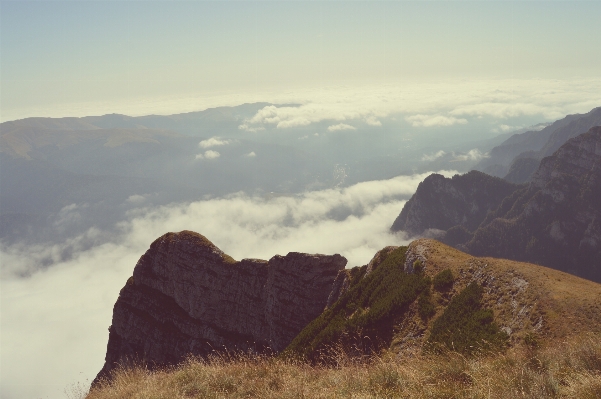 風景 自然 草 rock 写真