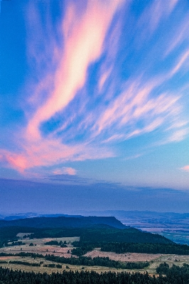 Baum natur horizont berg Foto