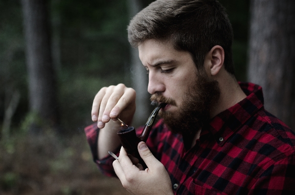 Hair male brunette portrait Photo