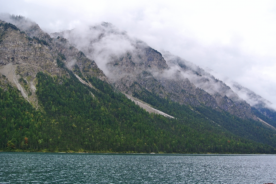 Paisagem mar árvore natureza